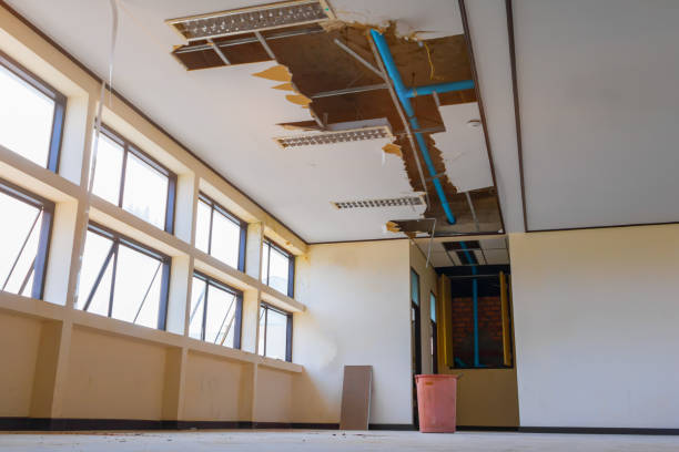Best Fire Damage Restoration  in Fabrica, TX