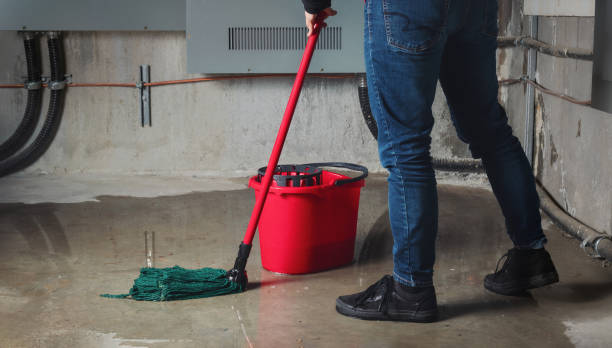 Trusted Fabrica, TX Water damage restoration Experts
