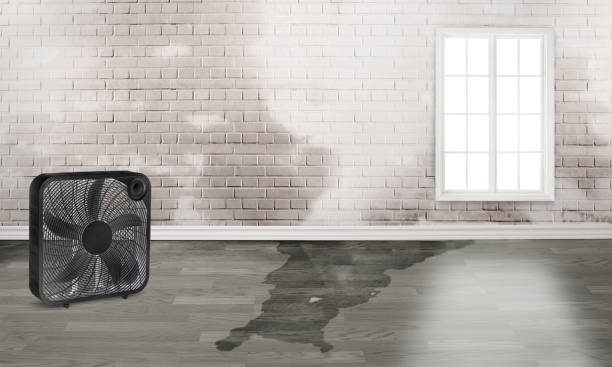 Best Water damage restoration services  in Fabrica, TX