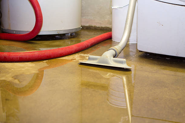 Best Water damage mitigation services  in Fabrica, TX