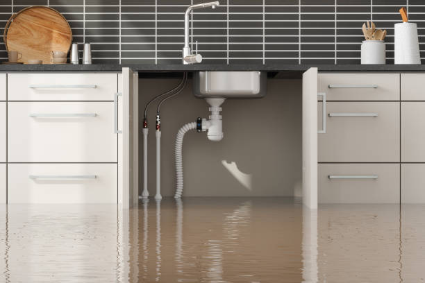 Best Sewage cleanup and water damage restoration  in Fabrica, TX