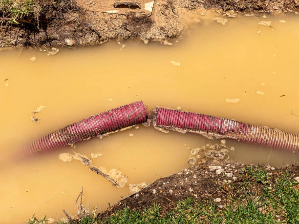 Best Commercial water damage restoration  in Fabrica, TX